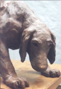 Irish setter (terracotta)